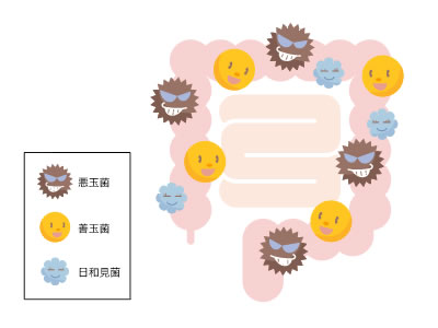 腸内環境