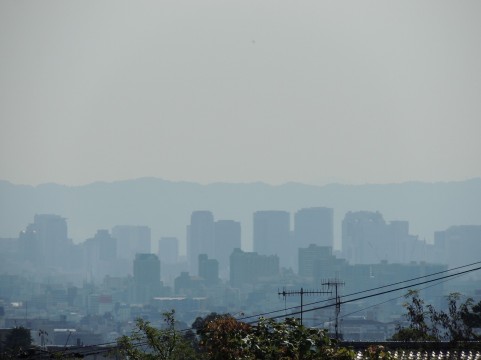 a0960_005132