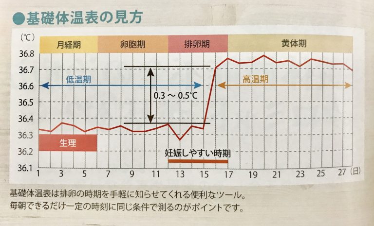 妊娠しやすい日（排卵日）の捉え方 メロディ薬店大阪中津の健康、美容、ダイエット、子宝の悩みならばスマイルエイジングショップ 3536